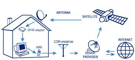 C���� ������ ��������������� ������������� ���������